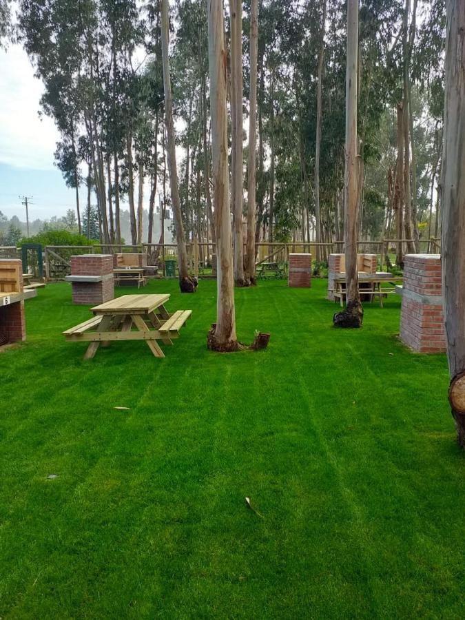 Apartamento Departamento Los Olivos *