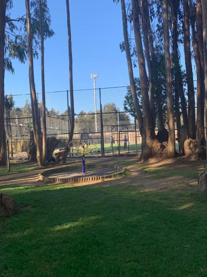 Apartamento Departamento Los Olivos Algarrobo