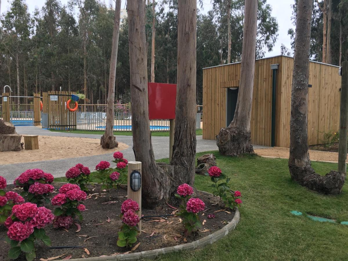 Departamento Los Olivos Apartamento